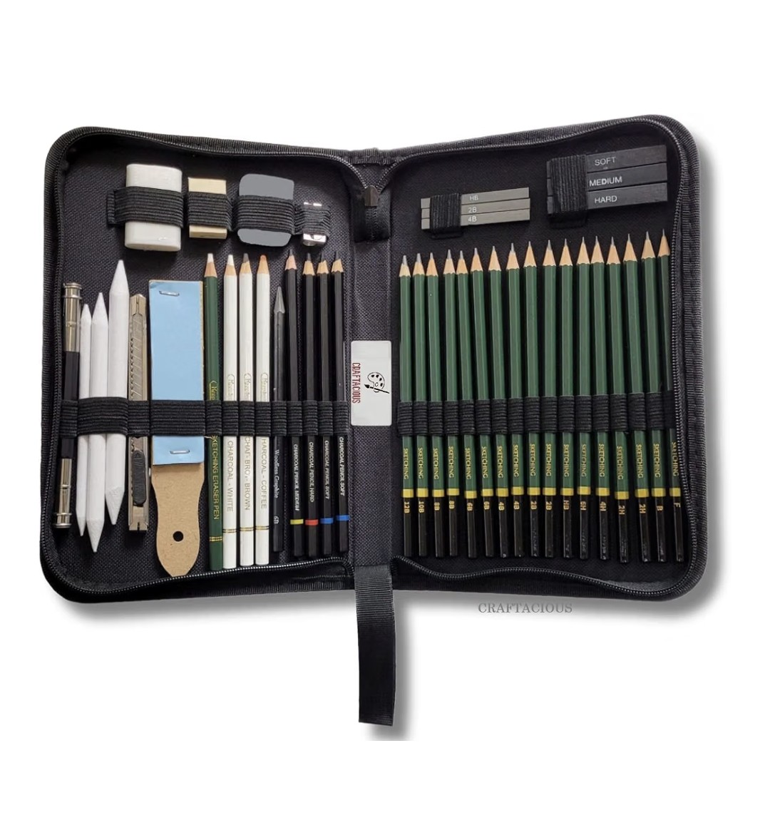 1000138719 Professional Sketching and Drawing Pencil Set with Carrying Zipper Case - Image 1